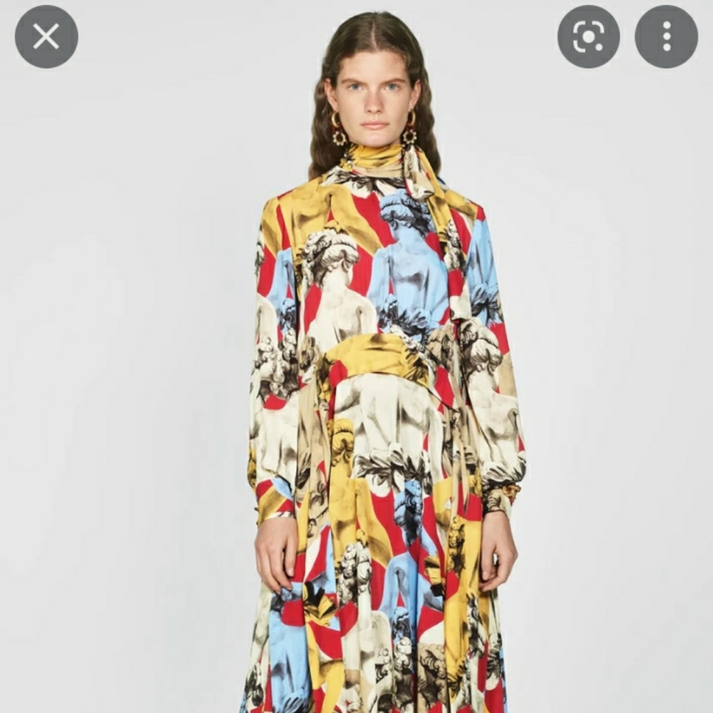 Rare bloggers fav Zara statue print maxi chiffon dress